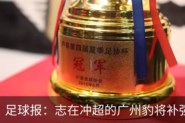 足球报：志在冲超的广州豹将补强锋线，正与目标外援前锋洽谈