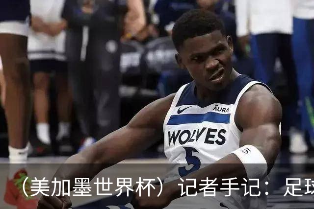 （美加墨世界杯）记者手记：足球世界，规则谁定？